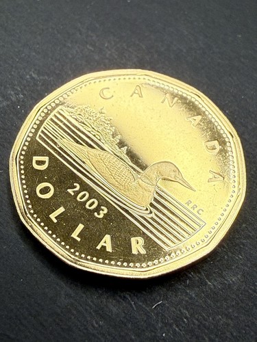 2003 canada proof - proof, loonie
