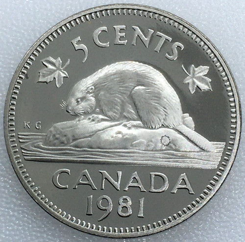 Proof nickel 1981 canada 5 - -,